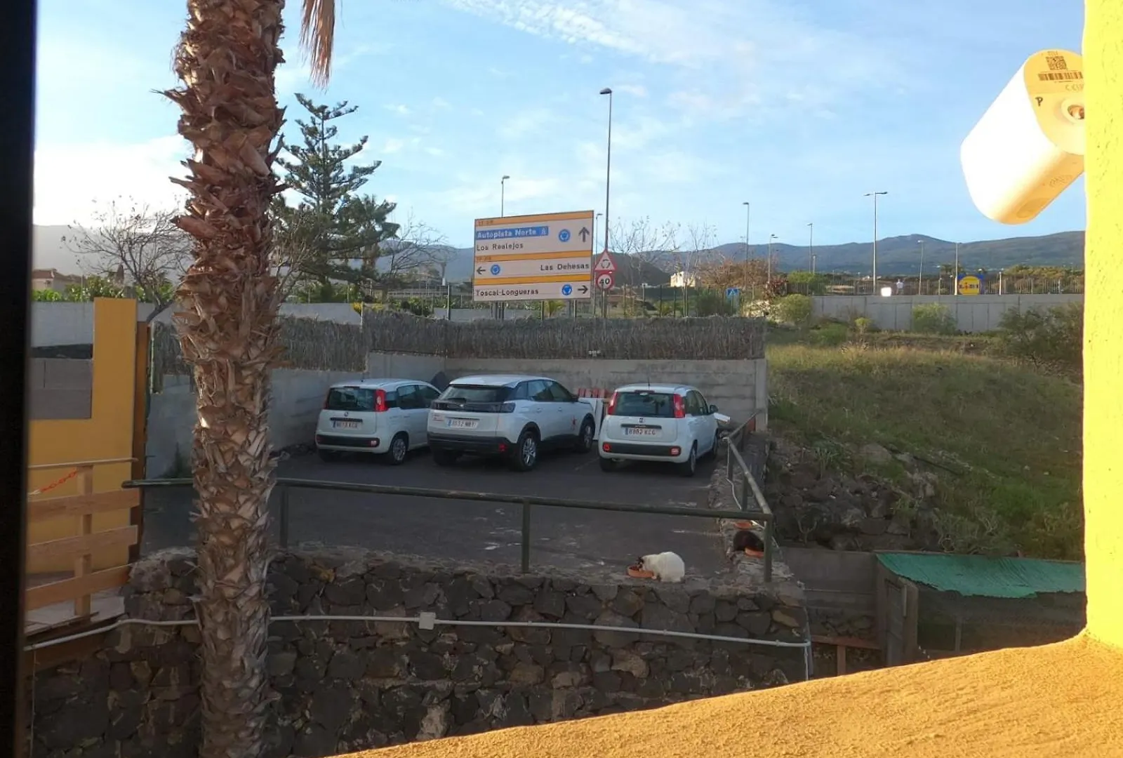 Cozy Canarian House At Villa Lila Puerto de la Cruz  Tatil Evi