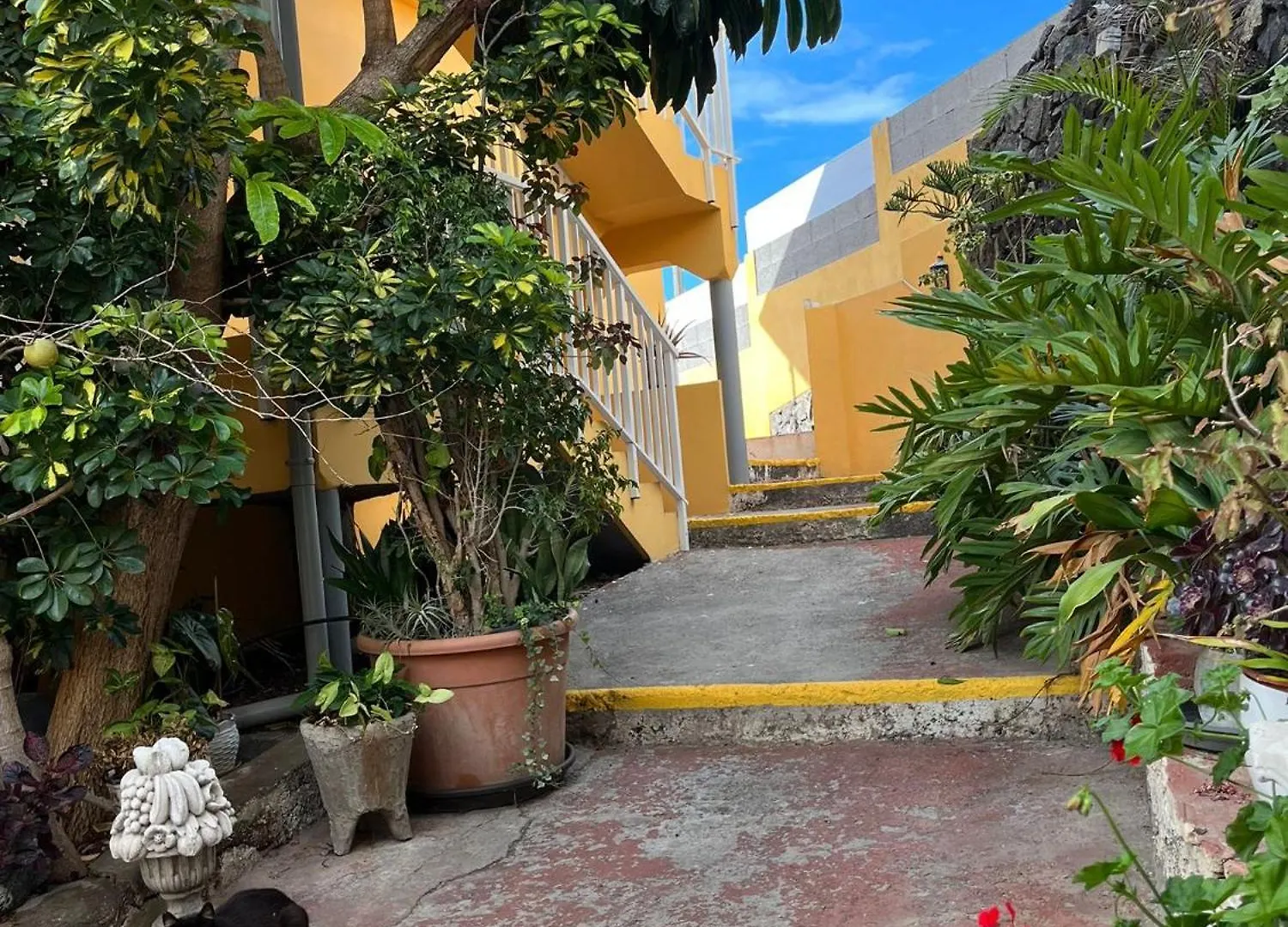 Cozy Canarian House At Villa Lila Puerto de la Cruz  İspanya